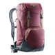 Рюкзак Deuter Walker 24 л 3810717 5323 - изображение 1