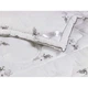 Ковдра Руно 140х105 см 320.52_Silver Swan - зображення 5