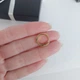 Сережка колечко для хряща 10 мм DeKolie MK1211-2 золотий - зображення 4