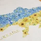 Пакет подарунковий з патріотичним малюнком eko-kraft 150*90*240 мм маленькі Подарункові Пакети Української Тематики з плоскими ручками "Карта України" упаковка 10 шт - зображення 2