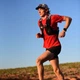 Рюкзак для бега Ultraspire Momentum 2.0 Race Vest (черный) S (UA123BKRDSM) - изображение 10