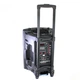 Портативная колонка Su-Kam BT 120D / 212D+ 2 микрофона 300 Вт 7500 mAh black - изображение 2