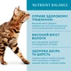 Вологий корм для котів Optimeal Adult 85 г - форель - изображение 3