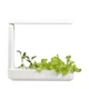 Vegebox™ by BioChef - Kitchen Box - набор садовый для гидропоники - изображение 1