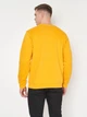 Свитшот мужской Armani Exchange 10979 2XL (52) Оранжевый - изображение 2