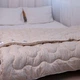 Одеяло ЛериМакс Зимнее Холофайбер Бежевый 145x210см 71511 - изображение 2