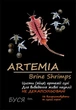 Корм для риб Артемія суха недекапсульована (цисти) Буся Artemia. Пакет 25г - зображення 1