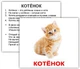 «Домашние животные с фактами» МИНИ 40 Карточки Домана - изображение 2