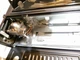 Портативна газова плитка SERANOVA BDZ-155-A - зображення 5