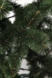 Сосна под инием П-1.6М 1,6м - изображение 3