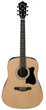 Гітарний набір IBANEZ V50NJP NT (A007723) - изображение 2