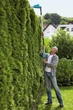 Аккумуляторный телескопический кусторез Gardena THS 42/18V P4A - без аккумулятора и зарядного устройства (14732-55) - изображение 4
