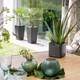 Вазон Lechuza Cube Glossy САТ 14 белый 13507 - изображение 10