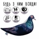 Мягкая игрушка антистресс Grifon Голубь Аркадий 40 см,детская игрушка,игрушка для детей,мягкая игрушка птица - изображение 4