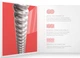 Струны с покрытием для электрогитары D'Addario XSE1052 XS Coated Electric Guitar Strings, Light Top Heavy Bottom (10-52) - изображение 4
