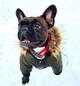 Куртка для собак DogClub ALFA XXL Green - изображение 7