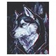 Картина за номерами "Друг Хаскі" Art Craft 40х50 см (11674-AC00001111) - зображення 1