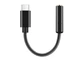 Адаптер ЦАП с усилителем BauTech Для наушников Realtek ALC5686 USB Type-C в jack 3,5 мм Черный (1008-669-00) - изображение 1