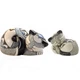 Кошка De Rosa Rinconada Families Dr155f-51 - изображение 2