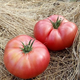 Насіння Томат Корнієвський рожевий, 0,15 г (GL Seeds) - зображення 3
