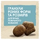Сухий корм DOG CHOW Puppy для цуценят з ягням 14 кг - зображення 2