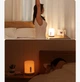 Прикроватная лампа ночник Xiaomi Mi Home (Mijia) Bedside Lamp 2 MJCTD02YL - изображение 9