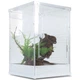 Тераріум Repti-Zoo Acrylic Terrarium 30x30x45см (PACR09) - зображення 2