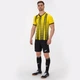 Футболка Joma TIGER II желто-черная L 101464.901 - изображение 6