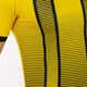 Футболка Joma TIGER II желто-черная L 101464.901 - изображение 8
