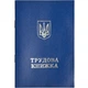 Трудовая книжка с голограммой - COLOR-IT - TK/200 - изображение 1