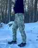 Тактичні штани EFES softshell WINTER multicam L (50) - изображение 2