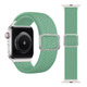 Нейлоновый ремешок Fruct Nylon Buckles Band для Apple Watch 38/40/41/42 mm Mint - изображение 2