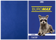 Бумага цветная DARK, т.-синяя, 20 л., А4, 80 г/м² - изображение 1