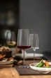 Набір келихів для вина ZWIESEL GLAS Sensa 535 мл х 2 шт (122427) - зображення 5