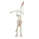 Стульчик для кормления Bambi M 4136-2 PINK - изображение 2