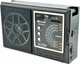 Портативный FM радиоприемник GOLON RX-99 ФМ радио проигрыватель (принимает флешку USB) на аккумуляторе и от батареек - изображение 1