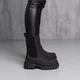 Черевики жіночі зимові Fashion Rosie 3876 38 розмір 24,5 см Чорний - зображення 6