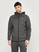Толстовка на молнии мужская Mizuno 32GC269009 S Серая с черным (5059431338652) - изображение 1
