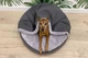 Лежак для Собак та Котів Haustier Lounge Gray з капюшоном L - діаметр 100см (B10-1-059) - зображення 2
