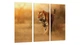 Модульная картина Природа Тигр Art-183_XXL - изображение 2