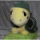 М'яка іграшка Черепашка в кепці JEHU TOYS плюшева зелена 23 см NEW 225197099 - зображення 2