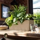 Вазон Lechuza Balconera Stone 80 кварцовий білий 15667 - изображение 5