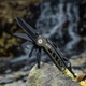 Мультитул M-Tac Type 2 Green/Black - изображение 10