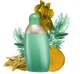 Woda perfumowana damska Cacharel Eden 50 ml (3360373048878) - obraz 3
