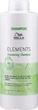 Обновляющий нежный шампунь для всех типов волос - Wella Professionals Elements Renewing Shampoo Gentle Shampoo For All Hair Types 1000ml (994050-134056) - изображение 1