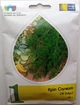 Семена укропа Салют Vinel seeds Украина 30 г - изображение 1