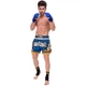 Шорты для тайского бокса и кикбоксинга TKTBS-062 Top King Boxing XL Синий (37551087) - изображение 7