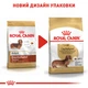 Сухой корм для собак породы такса Royal Canin Dachshund Adult, 1.5 кг - изображение 6