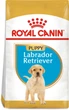 Sucha karma pełnoporcjowa dla szczeniąt Royal Canin Labrador Retriever Puppy dla labradorów do 15 miesiąca życia 12 kg (3182550725514) (24911201) - obraz 1