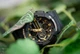 Жіночий наручний годинник Casio GMA-S140M-1AER Чорний із золотом лаконічний - зображення 5